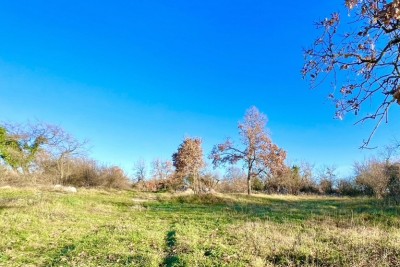 Agricultural land in an excellent location, Režanci, Istria