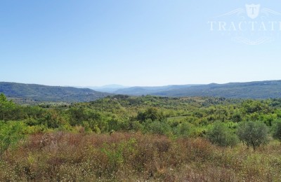 Prodamo zazidljivo zemljišče v bližini Grožnjana za gradnjo vil, Istra. 1