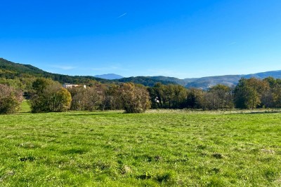 Attraktives Grundstück in Buzet, 5.384 m² am Straßenrand, Istrien, Kroatien 9