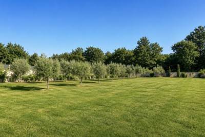 Großzügiges Anwesen mit hervorragenden Wohn- und Investitionsmöglichkeiten in Svetvincenat, Istrien, Kroatien 8