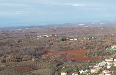 Zemljiste od 3910 m2 s vinogradom, okolica Vizinade, Poreč, Istra