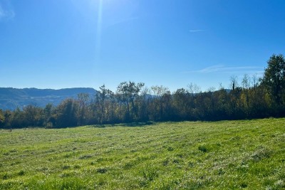 Attraktives Grundstück in Buzet, 5.384 m² am Straßenrand, Istrien, Kroatien 5