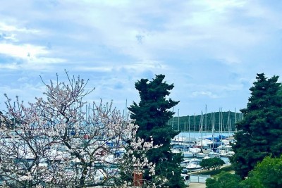 Prekrasan stan, smješten na ekskluzivnoj lokaciji uz marinu Vrsar, Istra, Hrvatska 2
