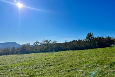 Attraktives Grundstück in Buzet, 5.384 m² am Straßenrand, Istrien, Kroatien 8