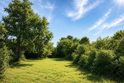 IMANJE ZA REKONSTRUKCIJU, ISTRA, BARBAN, TRLJI 4