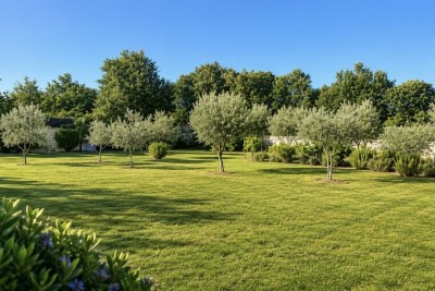 Großzügiges Anwesen mit hervorragenden Wohn- und Investitionsmöglichkeiten in Svetvincenat, Istrien, Kroatien 6