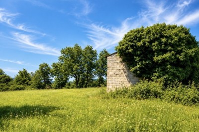 IMANJE ZA REKONSTRUKCIJU, ISTRA, BARBAN, TRLJI 3
