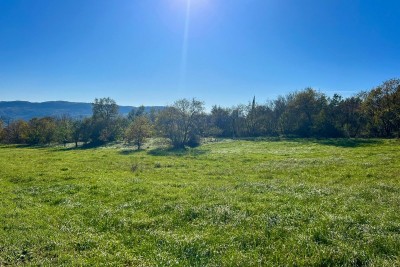 Attraktives Grundstück in Buzet, 5.384 m² am Straßenrand, Istrien, Kroatien 7
