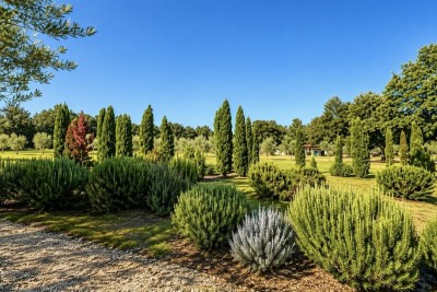 Großzügiges Anwesen mit hervorragenden Wohn- und Investitionsmöglichkeiten in Svetvincenat, Istrien, Kroatien 7