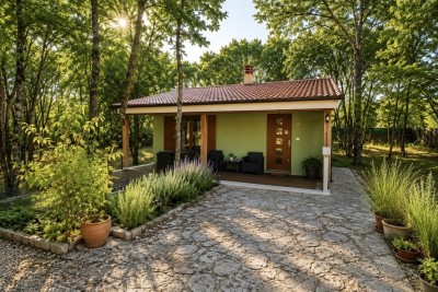 Großzügiges Anwesen mit hervorragenden Wohn- und Investitionsmöglichkeiten in Svetvincenat, Istrien, Kroatien 23