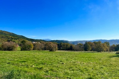Attraktives Grundstück in Buzet, 5.384 m² am Straßenrand, Istrien, Kroatien 4
