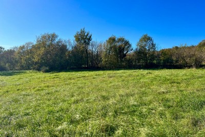 Attraktives Grundstück in Buzet, 5.384 m² am Straßenrand, Istrien, Kroatien 6